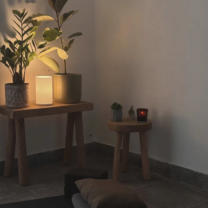 夜の灯りと植物